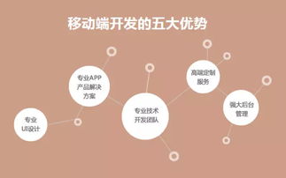 直擊軟件外包痛點，中科天基成就卓越服務