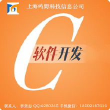 軟件定制、IT外包 服務解析、價格因素與廠商選擇指南